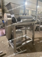 VBJX Commercial Business Corn Tigernut Nutripro pour la vis en acier inoxydable Juicer Mixer Grinder Extractor Machine
