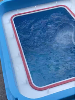 Réservoir de stockage 1000L pour le transport de poissons vivants et l'étang de maintien d'élevage temporaire avec pompe d'aération