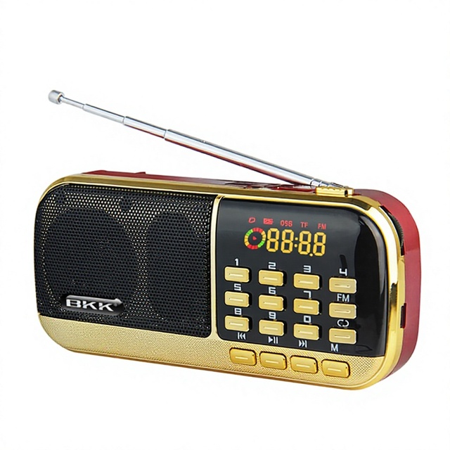 BKK Mini Handheld MP3 Player with WAV Support Screen Voice Recorder & FM Radio (B871)
