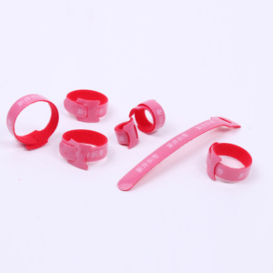 Màu Nylon Tự Dính Móc Và Vòng Lặp Trở Lại Để Trở Lại Dây Cáp Cho Bó Dây - Product Image 5