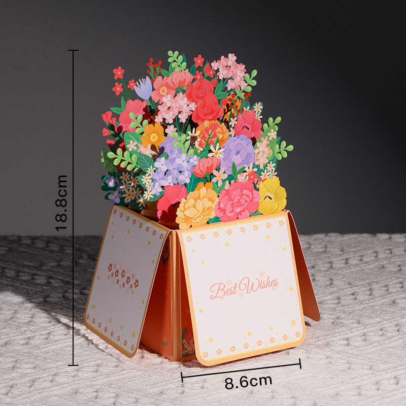 fleurs - lumière