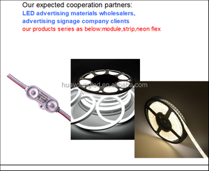 Fournisseur professionnel de néons LED, offrant des tailles et des logos personnalisables, indice de protection IP65, 12V, garantie de 3 ans, néons en gros - Product Image 4