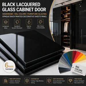 Pannello Decorativo in Vetro Laccato Nero per Armadio, Colori RAL, Vetratura Opaca Verniciata sul Retro - Product Image 2