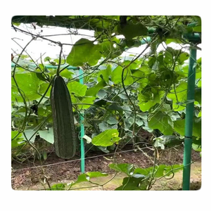 ท่อไฟเบอร์กลาสแบบกลวง ท่อ FRP แบบกลวง ท่อ GRP แบบกลวง ท่อคอมโพสิตไฟเบอร์กลาส - Product Image 2