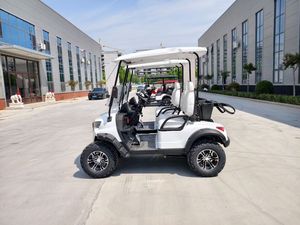 Voiturette de golf électrique 72V Lithium 5kW 4 places, peinture personnalisée, espace de chargement supplémentaire, certifiée DOT, usage familial américain - Product Image 6