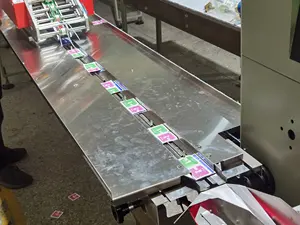 इत्र ईेशनर कार्ड पैकेजिंग मशीन तकिया पैकिंग मशीन के साथ स्वत: