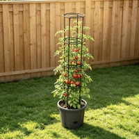 Pot en plastique pour plantes grimpantes avec treillis, ensemble de support de culture pour plantes de jardin, 4 niveaux