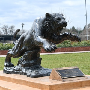 Outdoor Zoo Park Garden Decoration Metal Craft Vivid Wildlife <strong>Animal</strong> <strong>Tiger</strong> Cast Bronze Sculpture <strong>Life</strong> <strong>Size</strong> Brass <strong>Tiger</strong> <strong>Statue</strong> - Product Image 1