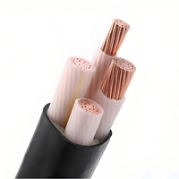Cable de Energía Industrial Blindado XLPE LSZH 0.6/1kV, Cobre Libre de Oxígeno, Estándar IEC para Estaciones de Energía, Fabricante OEM