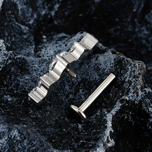 Piercing Labret Droit Grand ASTM F136 en Titane 16G avec <span class=keywords><strong>Grappe</strong></span> de Zircons, Barre Courbe en Zirconium pour Oreille, Clou d'Oreille pour Hélix et Cartilage - Product Image 3