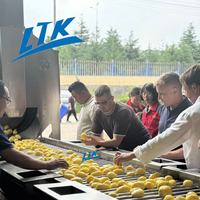 Industriële volautomatische friteuse voor de productielijn van frieten, aardappelstokjes, fruit & groenten, bevroren systeem