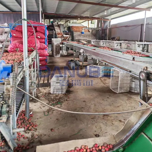 Professional Mesh Belt Seedless Hawthorn Slice Dryer Chain Type Hawthorn Slice Drying Equipment - Product Image 1