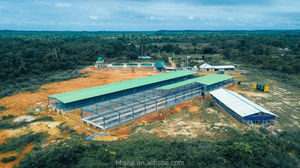 Hoge Kwaliteit Prefab Industriële Commerciële Vleeskuikens Staal Metalen Kippenhok Gebouw - Product Image 6