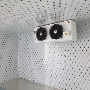 Đi Bộ Trong Vụ Nổ Tủ Đông <span class=keywords><strong>Container</strong></span> Tùy Chỉnh 40ft Rau Và Trái Cây Lạnh Lưu Trữ Phòng Thiết Bị - Product Image 2