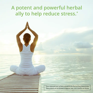 Hoge Kwaliteit Bulk Verkoop Supplementen <span class=keywords><strong>Ashwagandha</strong></span> Extra Capsules Kracht Stress Herleven Verbeteren Stemming <span class=keywords><strong>Ashwagandha</strong></span> Capsules - Product Image 3