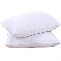 Bantal Bulu Angsa Abu-abu Sarung Katun Hipoalergenik Modern Set Bantal Tidur Koleksi Hotel 2 Ukuran Standar
