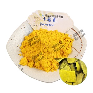 Polvo de extracto de Fibraurea <span class=keywords><strong>Recisa</strong></span> Pierre Natural de alta calidad 98% 100 g/bolsa de palmatina en polvo de fibraurea Palmatina - Product Image 1