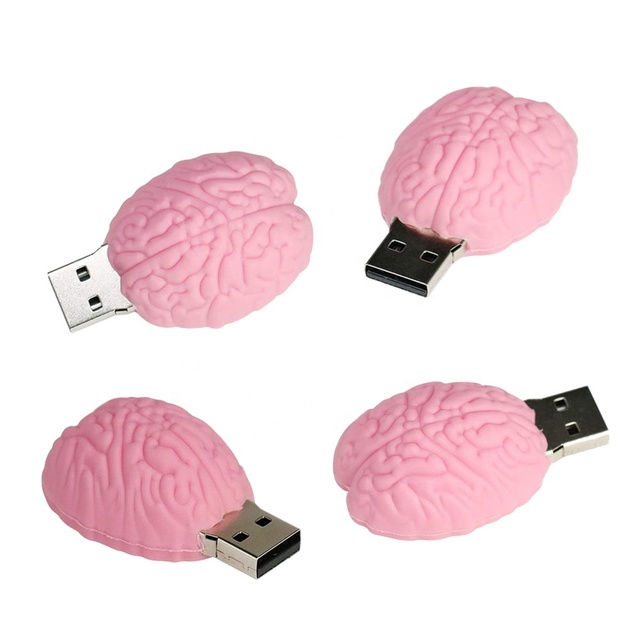 New 64GB PVC USB Flash Drive Cartoon Human Organs Design Doctor Theme Lung Heart Stomach Brain USB 3.0 Interface 5-Year Warranty