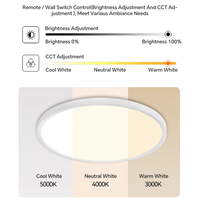 Plafonnier LED rond décoratif à intensité variable de luxe 60W avec télécommande pour l'éclairage du salon de la maison moderne