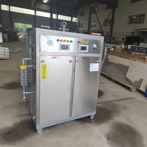 China Boiler Manufacturer Small Vertical 500KG Printing Factory Use Electric Steam Generator