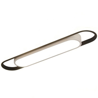 Lustre ovale long en acrylique moderne et minimaliste pour la maison, le bureau, le salon, le couloir, l'allée, l'entrée, éclairage de plafond LED modulable