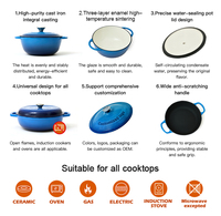 Cocotte en fonte émaillée de haute qualité, vente directe d'usine chinoise, compatible gaz et induction, antiadhésive, résistante au four