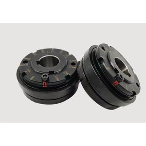 Couplage limiteur de couple par friction TL, protecteur de surcharge moteur, embrayage TL250-2 - Product Image 3