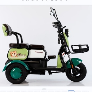 Mini Triciclo Eléctrico de Tres Ruedas para Pasajeros, con Batería Desmontable de 48V y 500W de Potencia para Adultos - Product Image 5