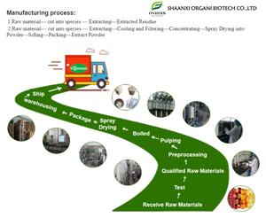 Polisacárido Militaris polvo orgánico Caterpillar hongo extractos Cordyceps Sinensis extracto - Product Image 5