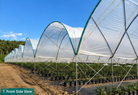 Serre agricole hydroponique multi-chapelles de grande envergure pour la culture des baies, avec couverture en film plastique PE