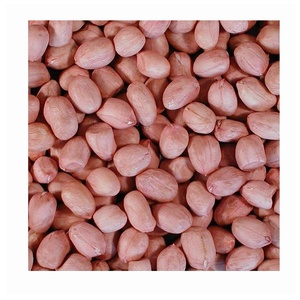 Cacahuetes Crudos Secos de Fábrica, Grado 3A, Listos para Comer, Marca DYTD, 6 Meses de <span class=keywords><strong>Vida</strong></span> Útil, para Venta en Todo el País, desde China - Product Image 4