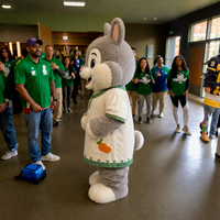 Shengye, Fournisseur de Mascottes en Chine, MOQ 1 Mascotte de Lapin Nain, Costume d'Animal de Dessin Animé, Casque pour Fêtes, Festivals, Pâques et Événements Spéciaux