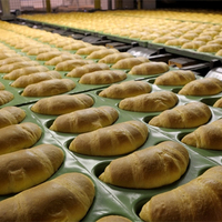 Machine à boulanger automatique en acier inoxydable, pour faire des boulettes de pâtisserie, Croissant et pâte à rouleau