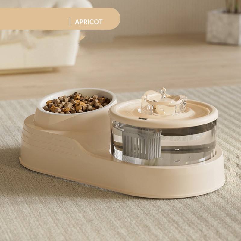 แอปริคอท