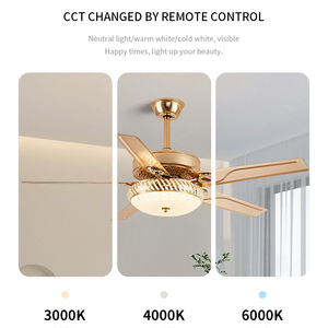 High Quality Iron Blades Ceiling <b>Fan</b> Light 42 52 Inch Reversible BLDC 3CCT Dimmable Factory Direct - Product Image 5