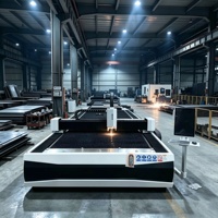 Harga Pabrik 6015 Mesin Pemotong Laser Serat Area Kerja Luas untuk Baja Karbon, Baja Tahan Karat, Plat Logam Galvanis