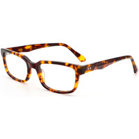 Monture de lunettes rectangulaires rétro Elan Optical YB6619 à prix abordable, unisexe, en acétate, sans peinture, livraison directe d'usine