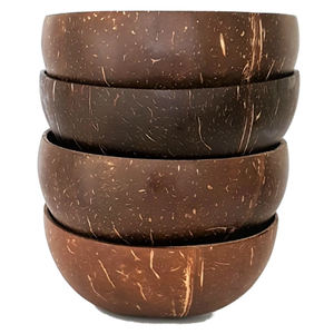 coconut half  shell polished bowls dinnerware rice bowl handmade