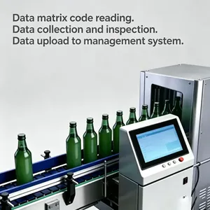Línea de Seguimiento de Paletas de Botellas Totalmente Automática con Lectura de Códigos de Matriz de Datos, Inspección y Carga de Datos al Sistema de Gestión - Product Image 4