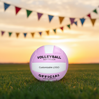 Ballon de volley-ball de plage en PVC5 souple, écologique, personnalisable avec logo, antidérapant, épaissi, pour entraînement adulte, imprimable, couleur macaron