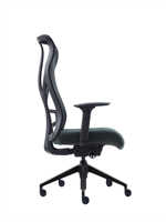 Chaise de bureau ergonomique à dossier haut en maille en forme de S avec accoudoirs réglables, chaise de direction pivotante