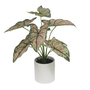 MINI plantes de TABLE pour la décoration, nouveau STYLE - Product Image 3