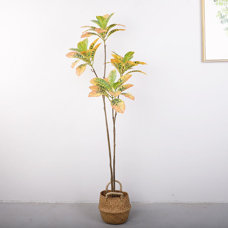 สีเหลือง#150ซม