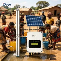 Deye 1,1 PS 800W 4'' Solar-Tauchpumpe mit Edelstahlgehäuse und 100% Kupferdrahtmotor für Haus, Bauernhof, Vieh und Garten