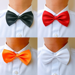 Papillon coro maschile a 6 colori per eventi e apparizioni - Product Image 1