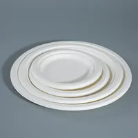 Bagassa di canna da zucchero usa e getta biodegradabile divisa 3 scomparti stoviglie piatti stoviglie piatti di carta bagassa