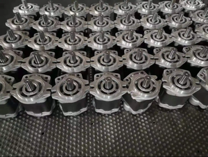 Bomba de Engranajes de 5 Etapas y 300 Bares, Tamaño de Conexión de 1/4 de Pulgada, 50 kg - Product Image 1