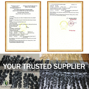 Vente en gros d'extensions de cheveux vierges non transformées alignées sur les cuticules machine à cheveux cambodgiens bruts vietnamiens Double trame lâche profonde - Product Image 6