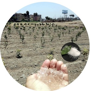 Sản Xuất <span class=keywords><strong>Polymer</strong></span> Siêu Thấm (Nhựa Cây) Số Lượng Lớn - Product Image 6