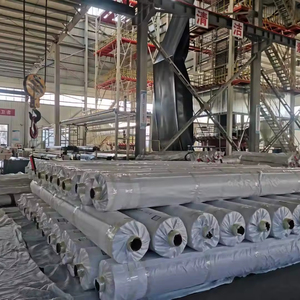 HDPE <span class=keywords><strong>Geomembrana</strong></span> 0,85mm Rollos Fish Farm Pond Liner <span class=keywords><strong>Geomembrana</strong></span> Hdpe Película de plástico agrícola negra - Product Image 1